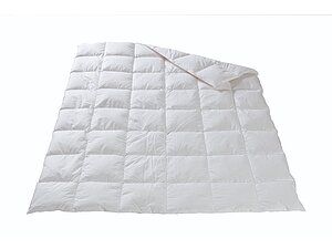 ������ ������ Dorbena Ramonda Premium, �����������