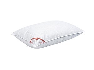 ������ ������� ������ ��� ������ 50, �����