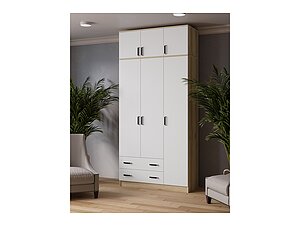 ������ ���� ���� ������ 120 ��, ��� ������, �����