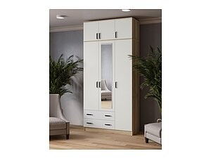 ������ ���� ���� ������ 120 ��, ��� ������, �����