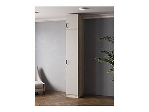 ������ ���� ���� ������ 40 ��, ��� ������, �����