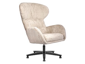   Bradexhome Teddy 