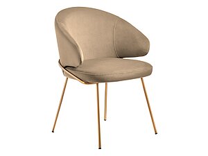   Bradexhome Emil /