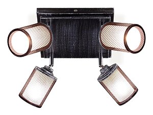   Citilux  CL535541