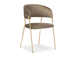   Woodville Kamelia Cappuccino/ Gold