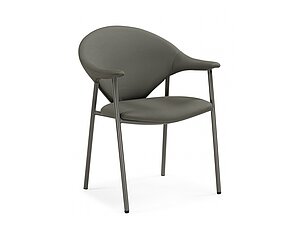 ������ ���� Woodville Vigo, gray