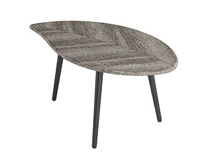 ������ ���� ������� ����� 12 ��