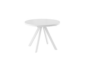 ������ ���� Mebwill ����� � D100, �����, ���������