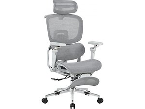 ������ ������ TopChairs Prodigy � ����������