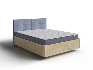 ������ ������� ������ New Light (����� ����)