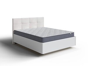 ������ ������� ������ New Light (����� �������)