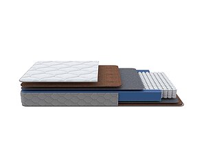 ������ ������ ProSon Prime Firm (SF)