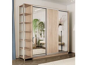 ������ ���� � 1 ��������+�� �������/���/�������, 240�45�220