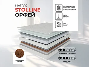 ������ ������ �������� ��������� ��� - �����