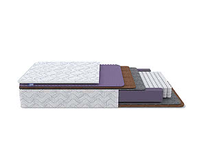 ������ ������ ProSon Aura Duo M/F