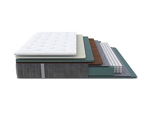 ������ ������ ProSon Prestige Plus Firm