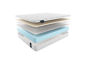 ������ ������ Materlux Prima Latex