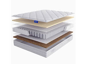 ������ ������ Lineaflex Camelia Lux