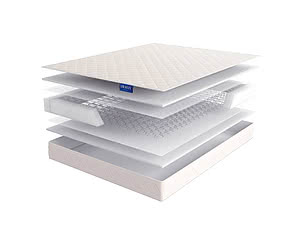 ������ ������ Lineaflex Viola