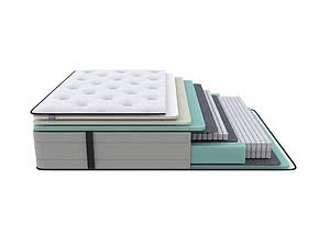 ������ ������ ProSon Elysium Medium