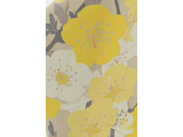 ������ ������� Basic Middle