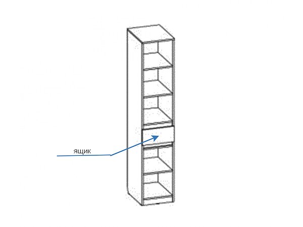   Basic Middle