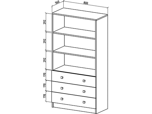   Basic Middle