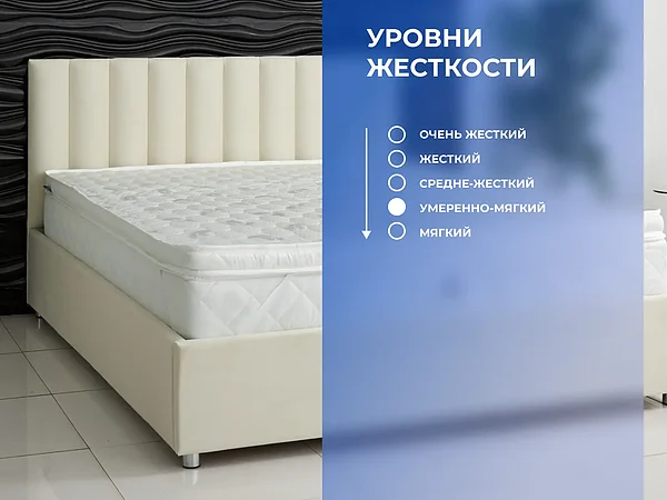 ������ ������� Basic Middle