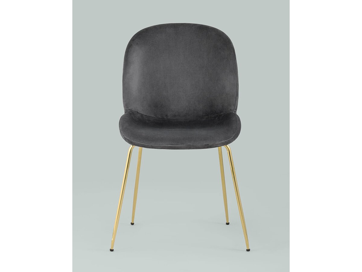  Stool Group Beetle / 