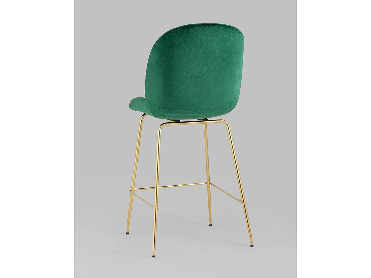   Stool Group Beetle    / 