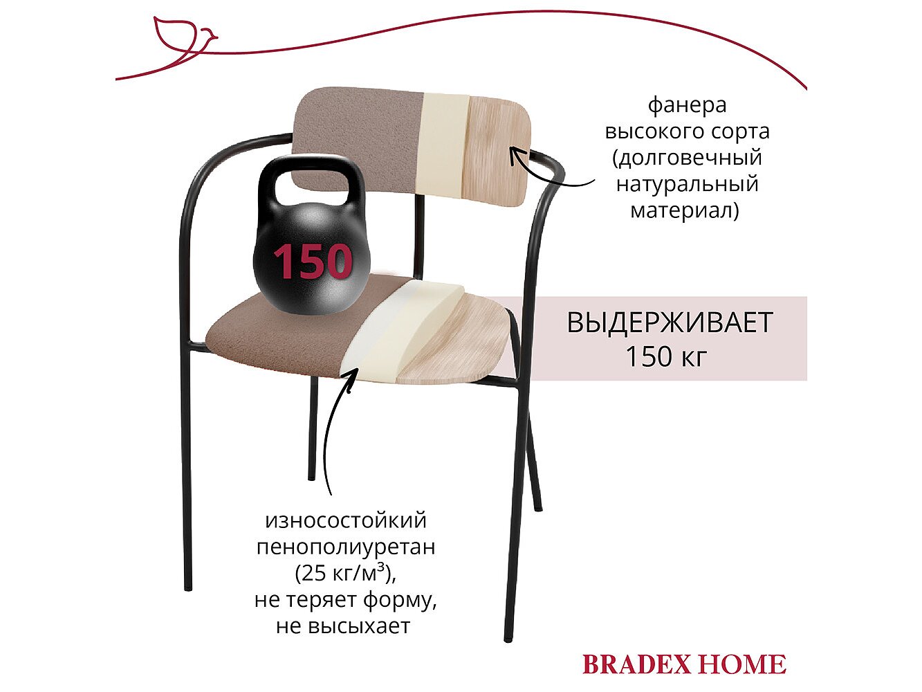  Bradexhome Ant  2-   