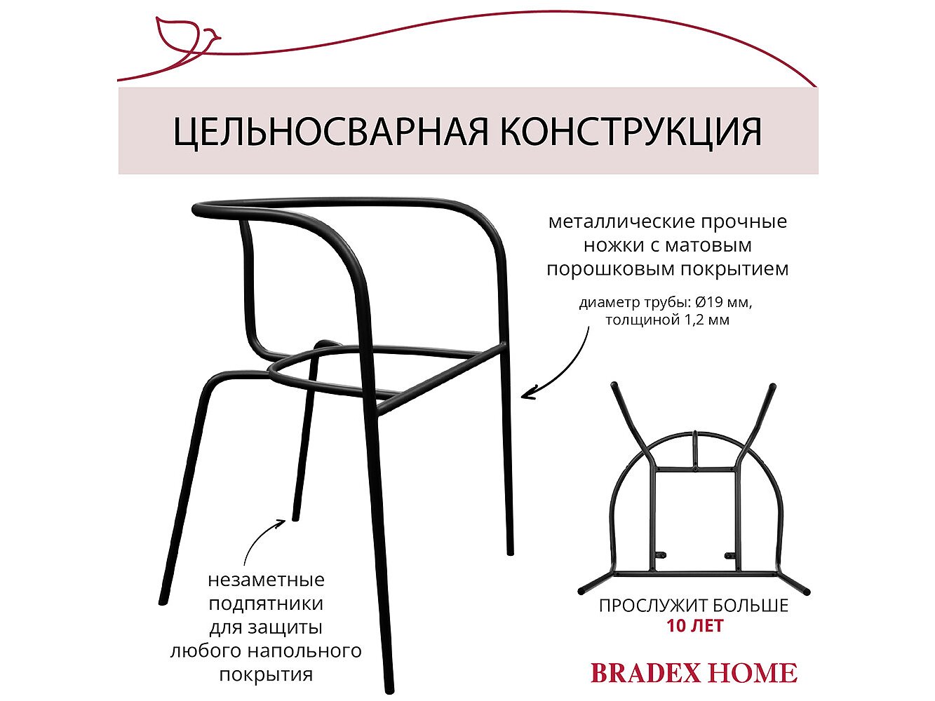  Bradexhome Ant  2-   