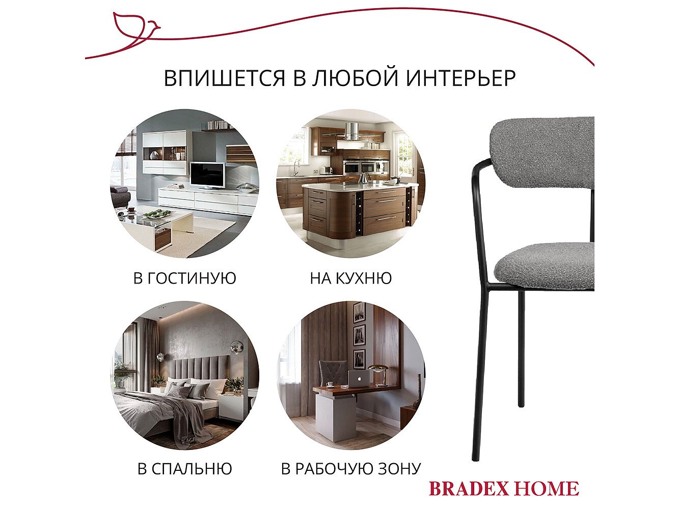  Bradexhome Ant  2-   