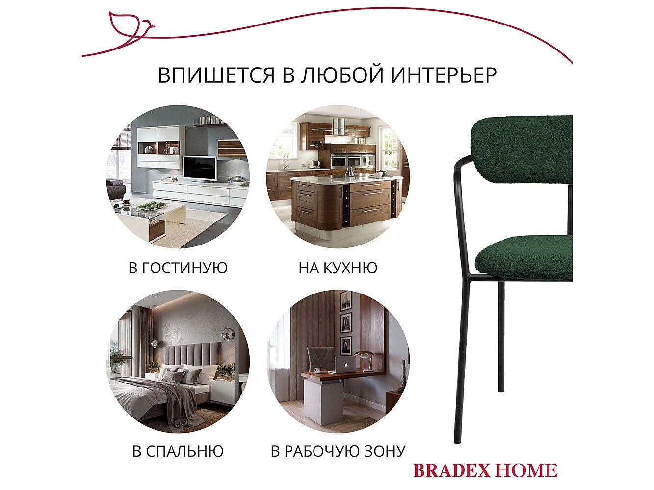  Bradexhome Ant  2-   