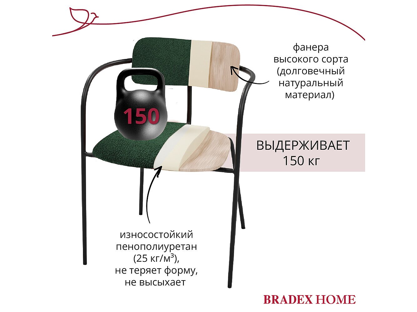  Bradexhome Ant  2-   