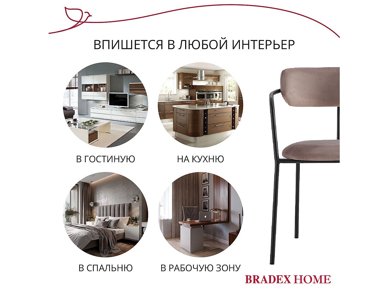  Bradexhome Ant  2-  