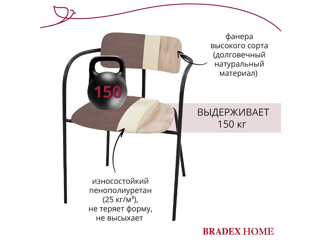  Bradexhome Ant  2-  