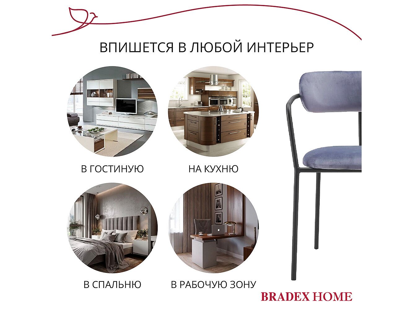  Bradexhome Ant  2-  