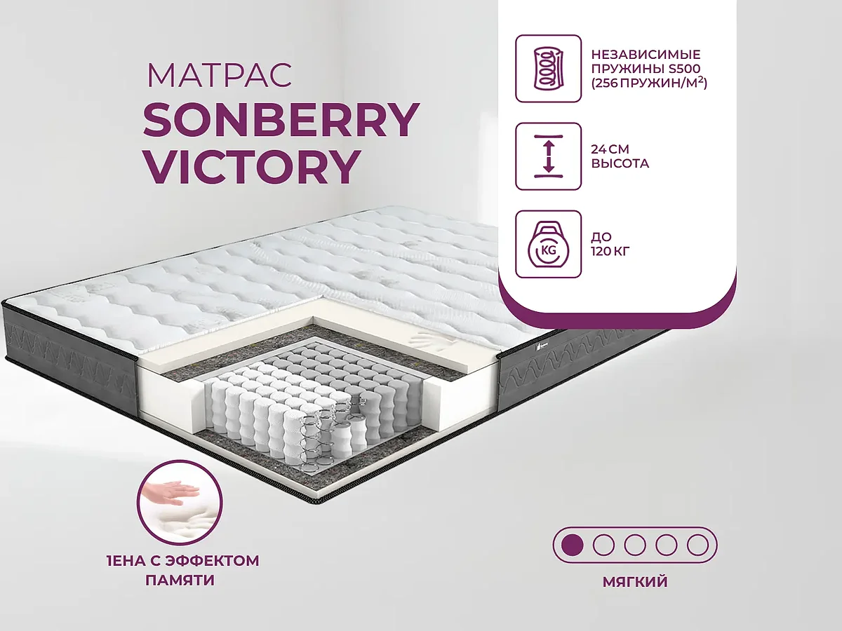 ������ ��������� ������ Sonberry Victory � �������� ����� � ������ ����������� ������