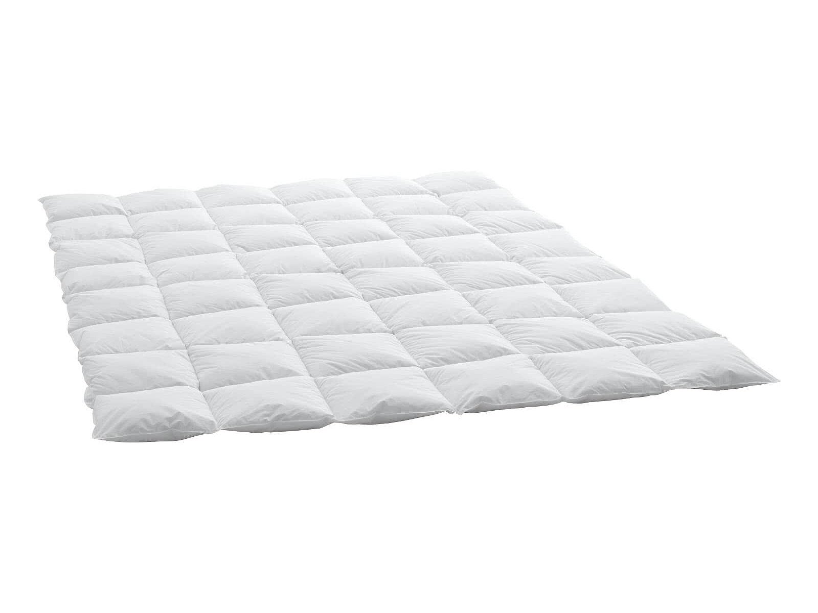 ������ Swiss Dream Caro Medium Classic 90