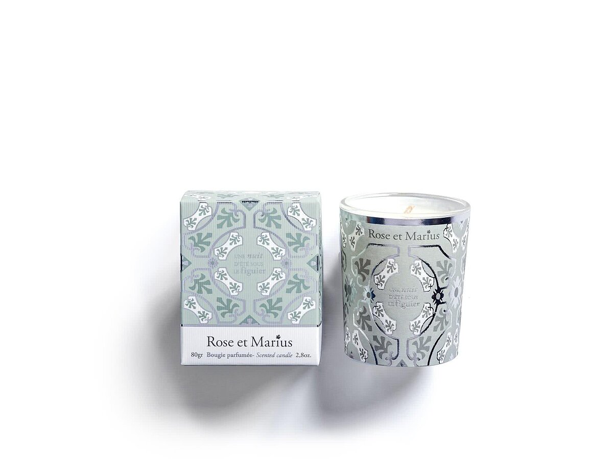����� ������������� Rose & Marius Figuier, 80 ��