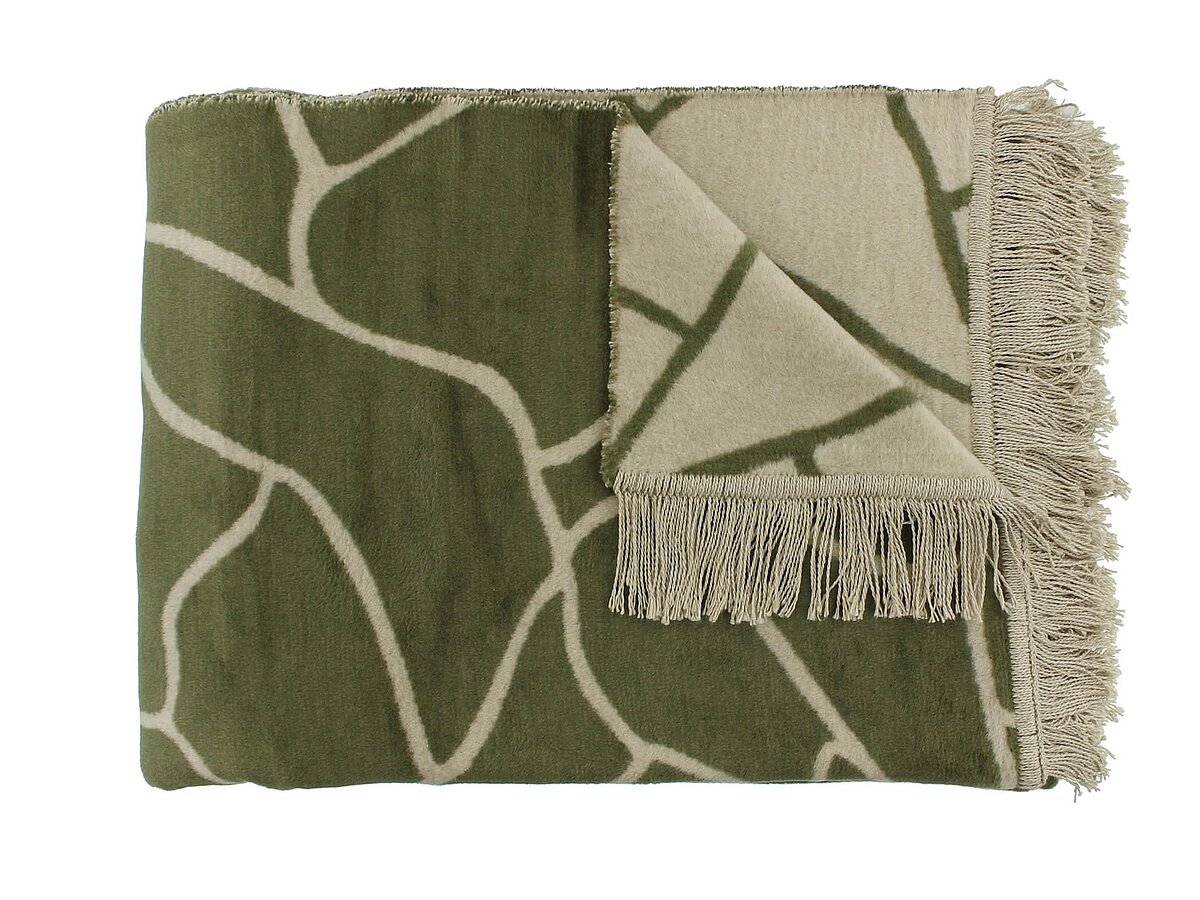 ���� Claudi Lineas Olive