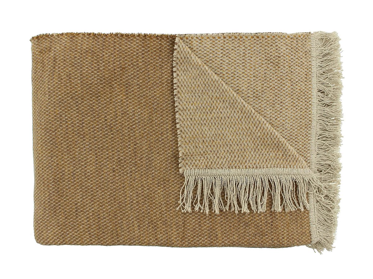 ���� Claudi Unami Camel