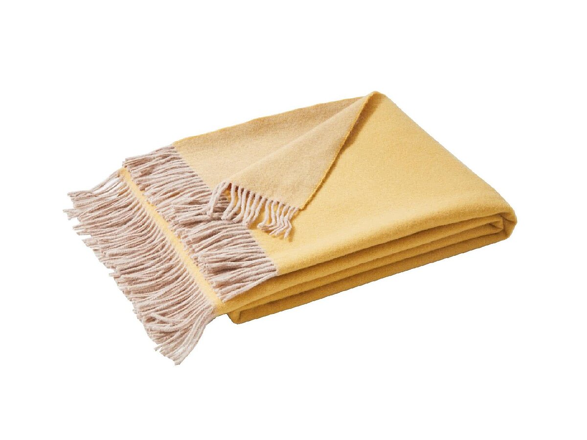 ���� Blanc des Vosges Katmandou Curry