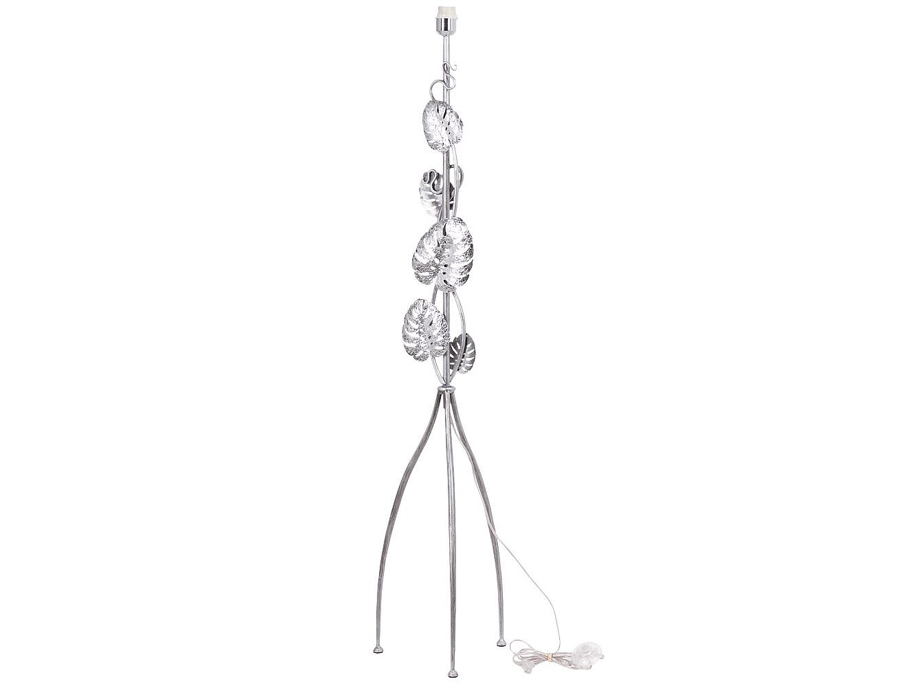    Monstera Deliciosa ()   -2 