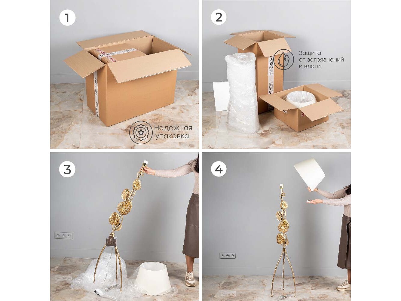    Monstera Deliciosa ()   -2 