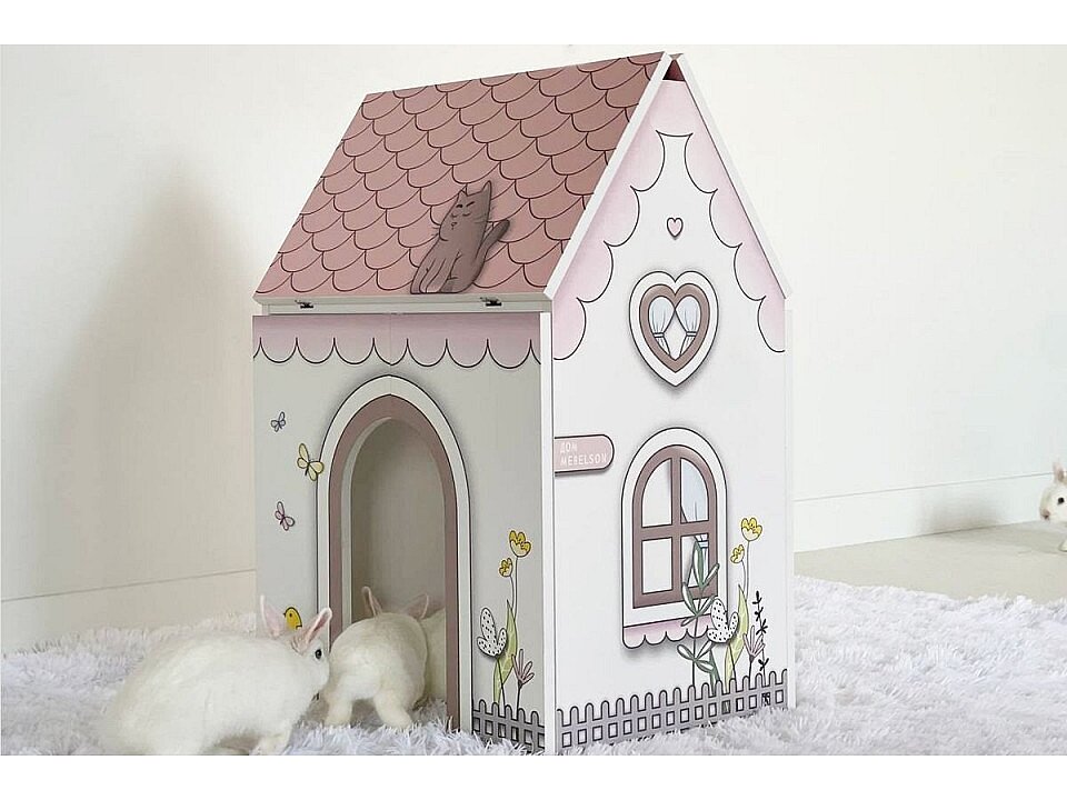 ���� ���������� �����