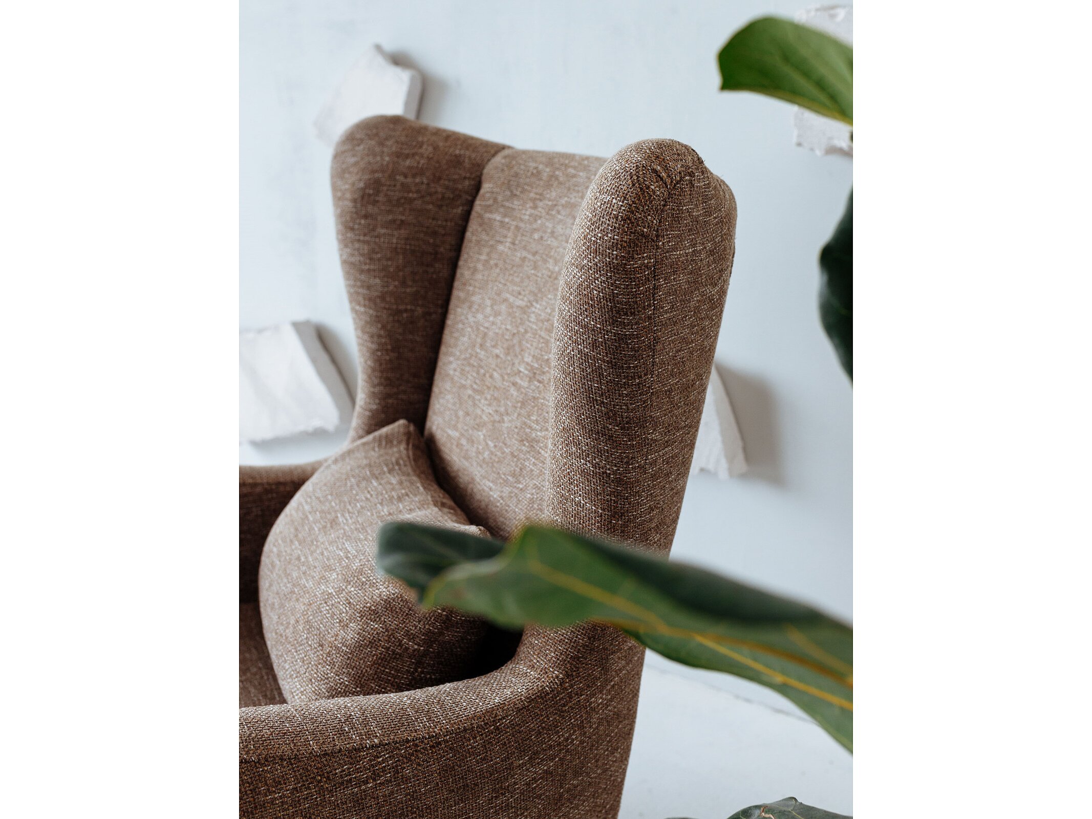 ������ �����, �������, ����������