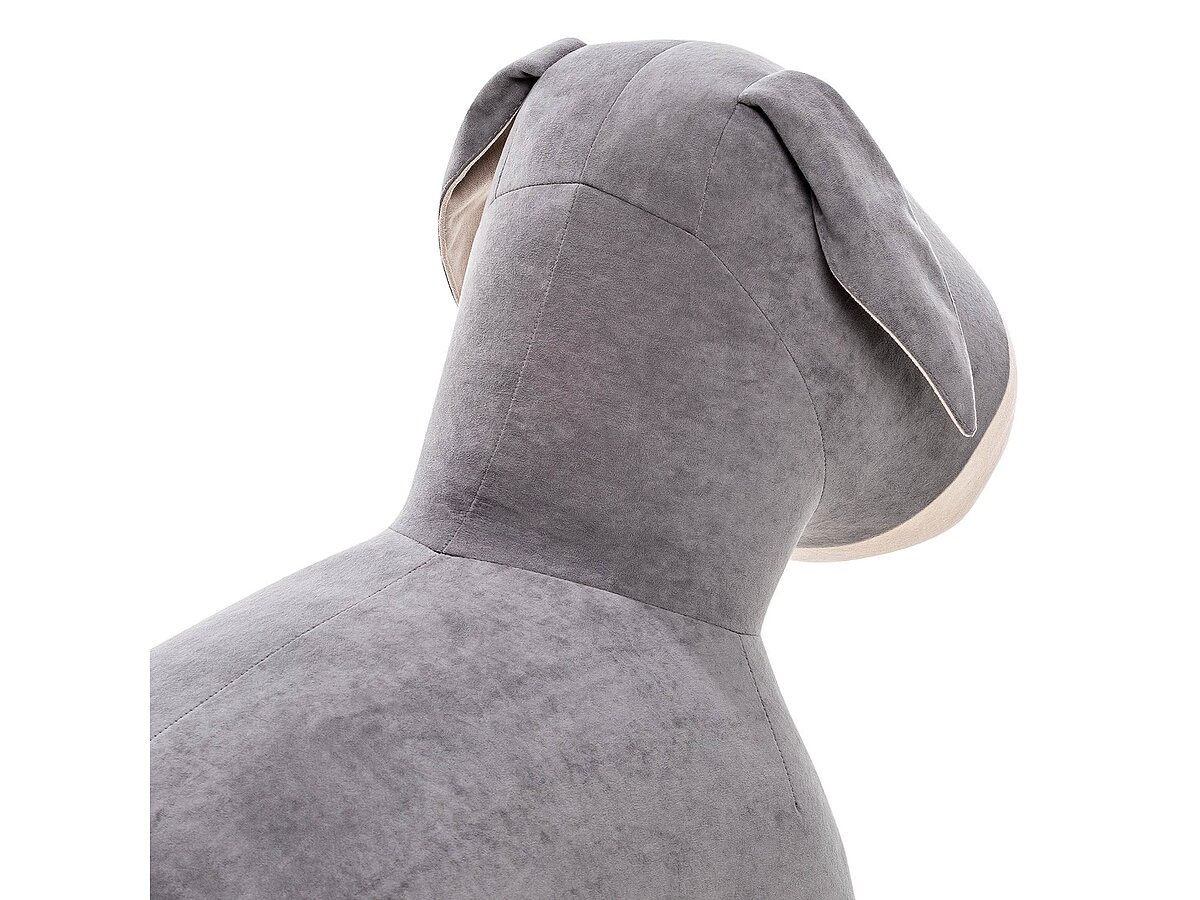 ��� Leset Burro