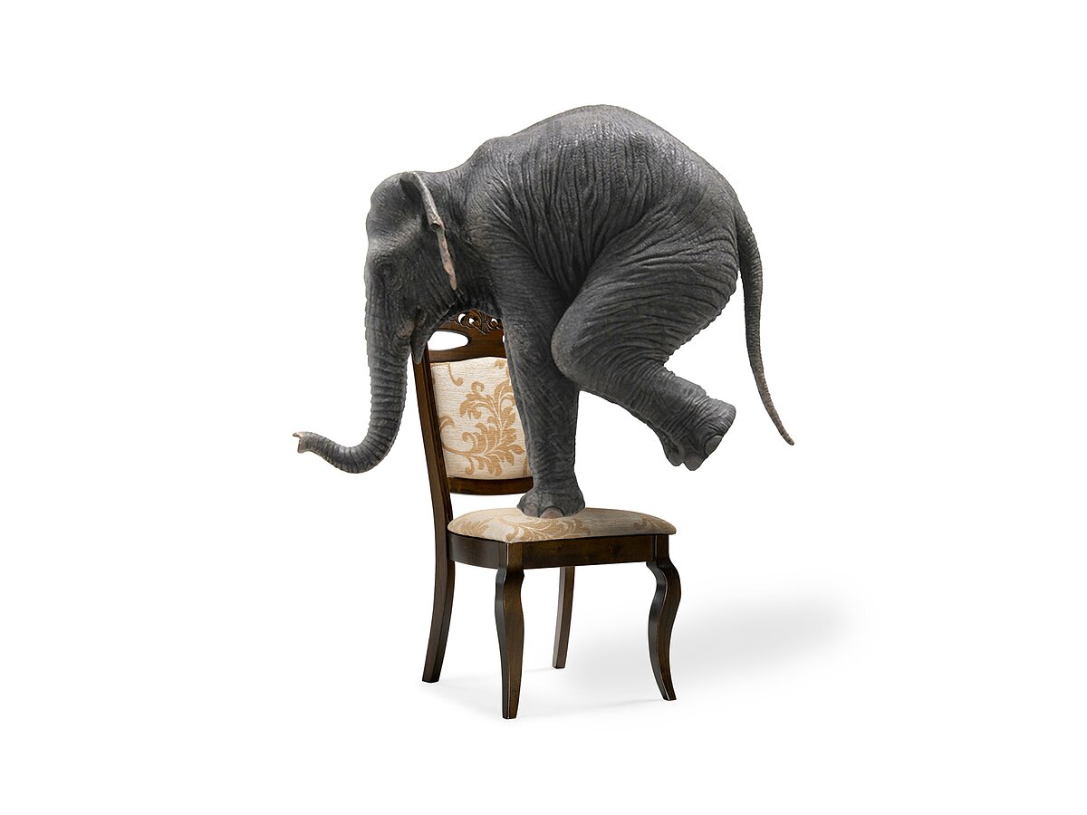 ���� ���������� Demer cappuccino A2